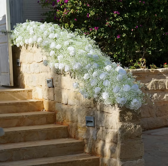 Giant Gypsophila & White Rose