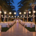 Venue Fairy Lights and Palm Tree Uplights