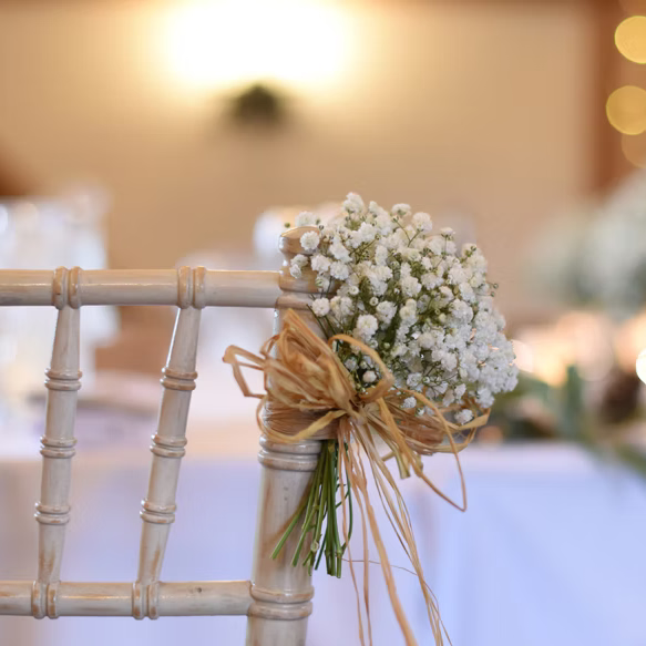 Splendore Package